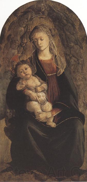 Sandro Botticelli Madonna of the Rose Garden or Madonna and Child with St john the Baptist (mk36) Spain oil painting art